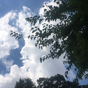 Meet your Posher, Carina